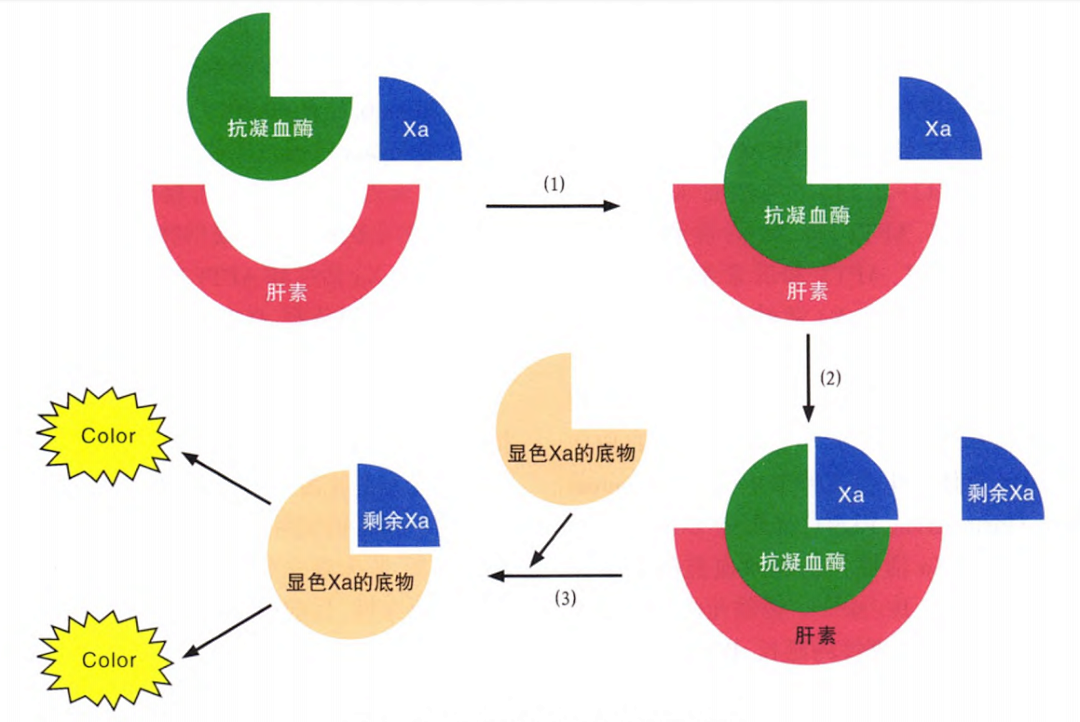 國產(chǎn)抗Xa質(zhì)量如何？多中心臨床研究來告訴你！