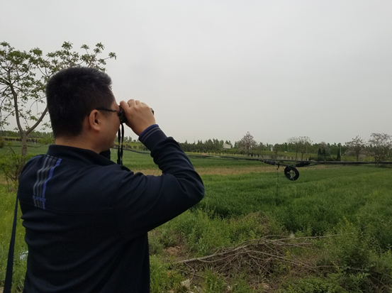 1493775637604669Bq9r.png 829e256ab69dd81180a21711c1b5065.png