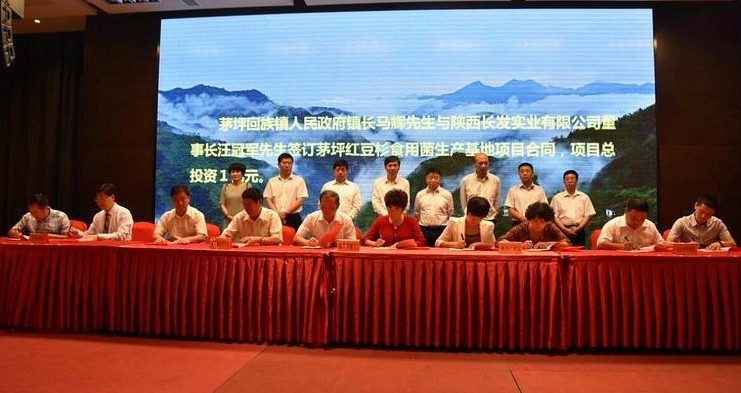 1496707239217962R290.jpg 鎮(zhèn)安簽約儀式.jpg